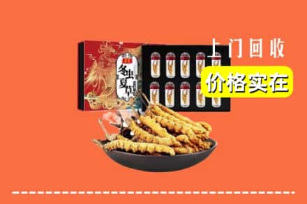 临沂兰陵县回收冬虫夏草