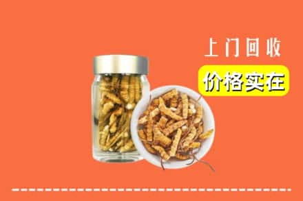 临沂兰陵县回收散虫草