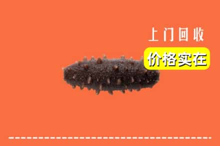 临沂兰陵县回收海参