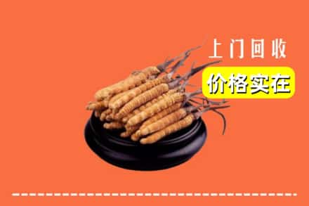 临沂兰陵县回收冬虫夏草